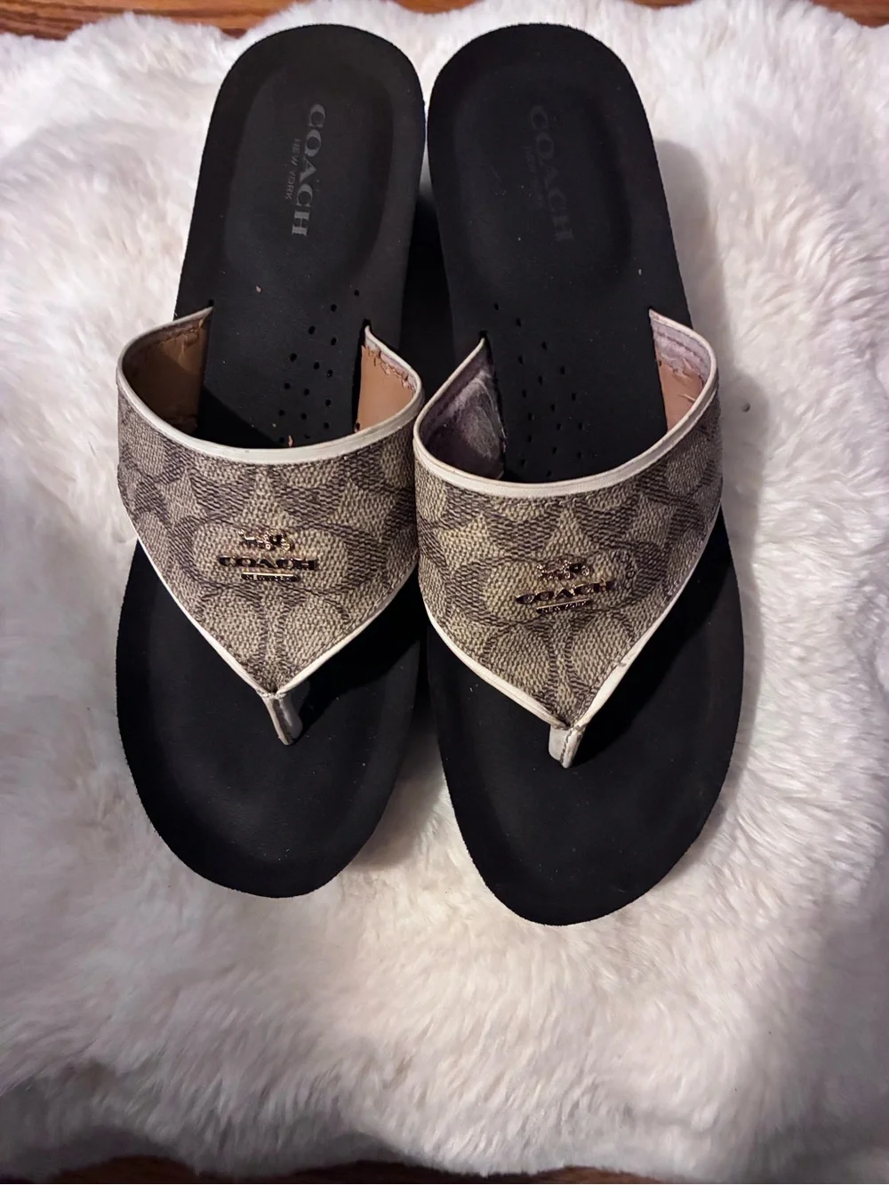 Coach Signature Canvas Thong Sandals in Brown and Black
